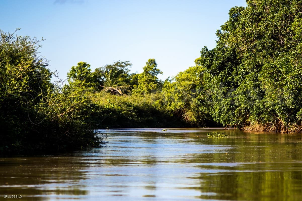 DELTA DE PARNAÍBA
