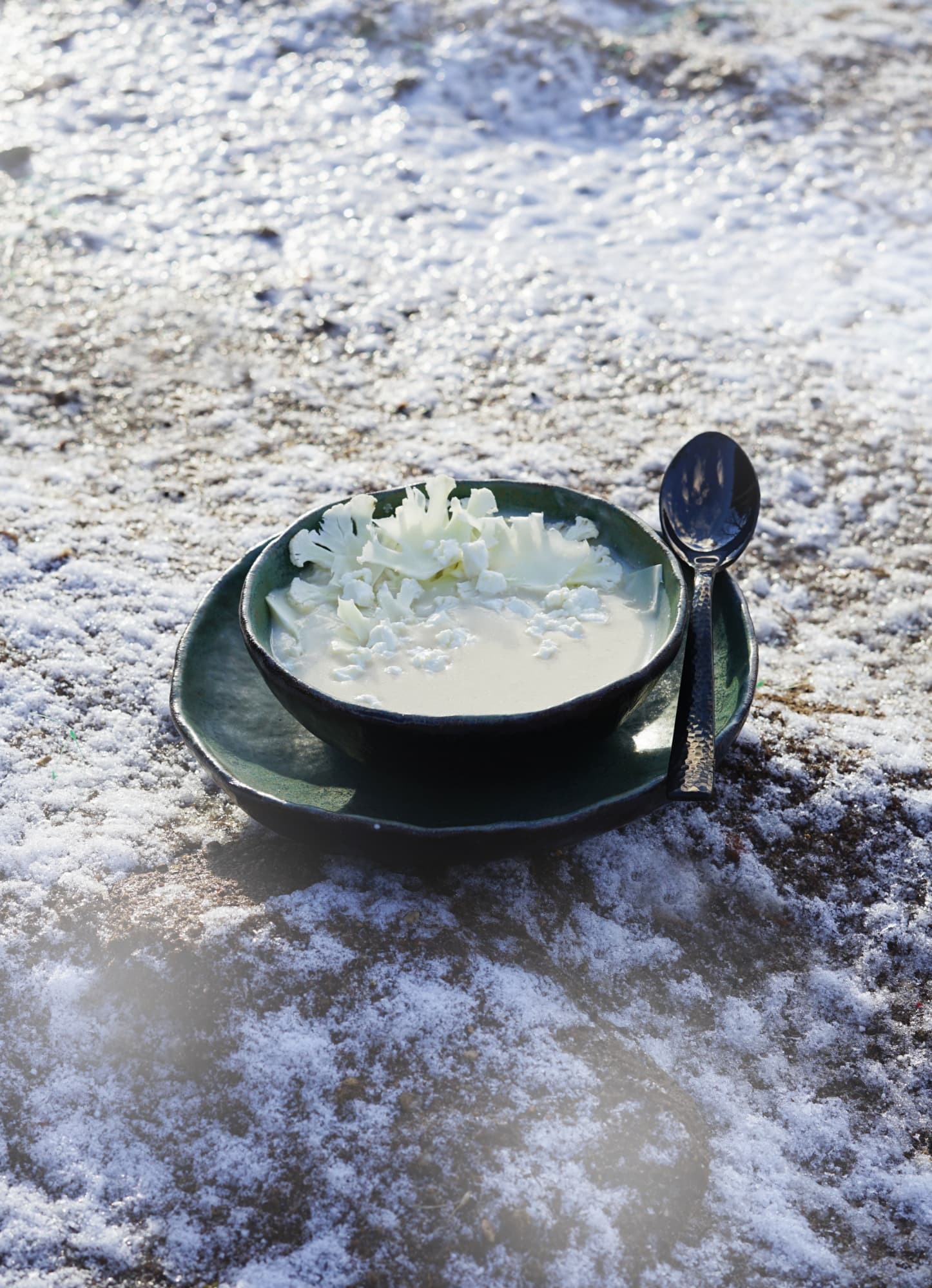 Wild Soups