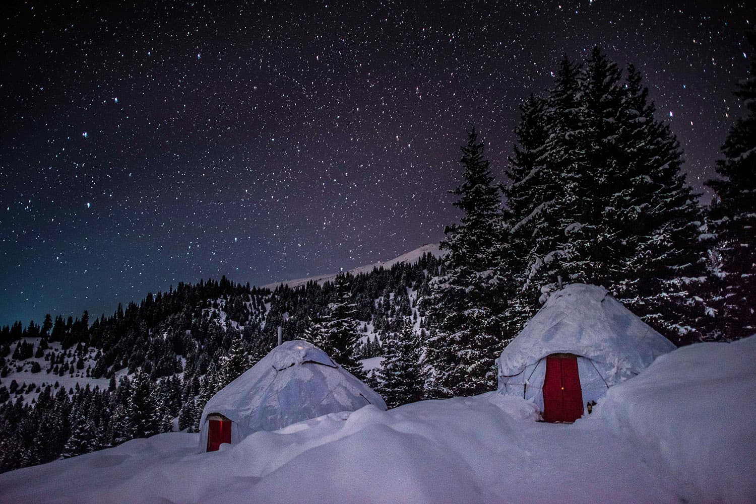 Under the stars