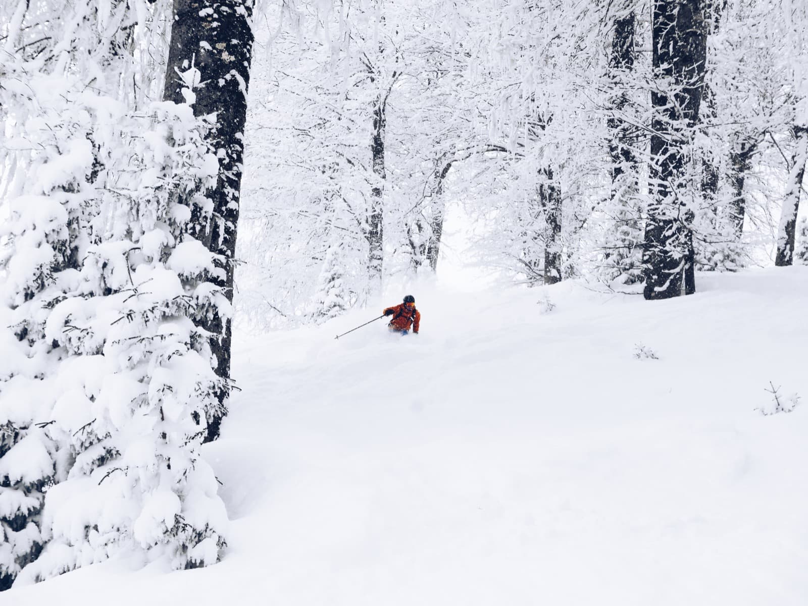 Dim Skiing in Georgia Powder
