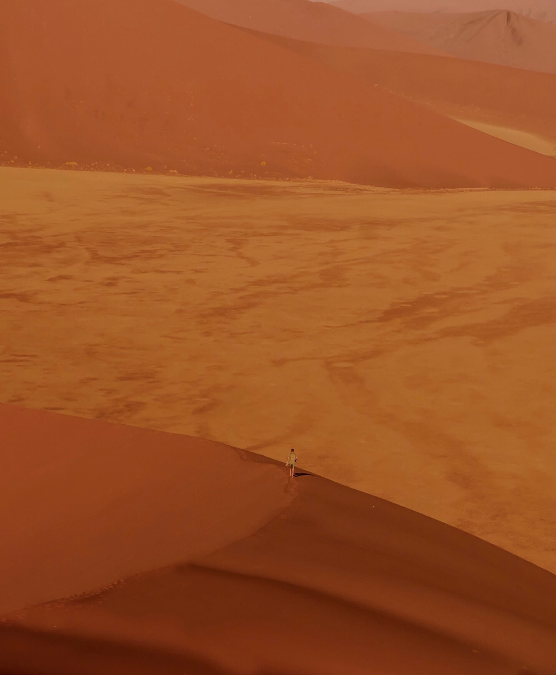 Namibia Desert