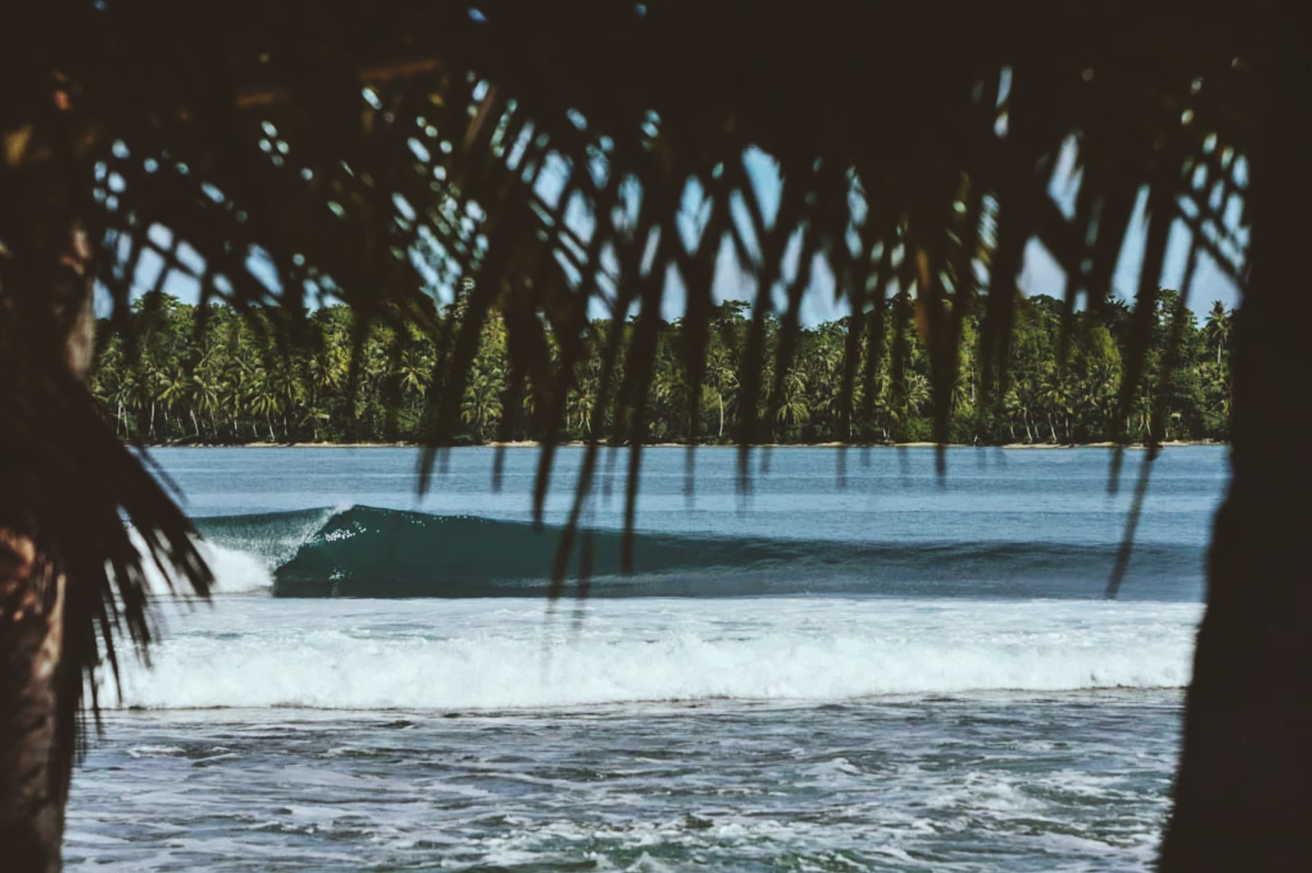 wave