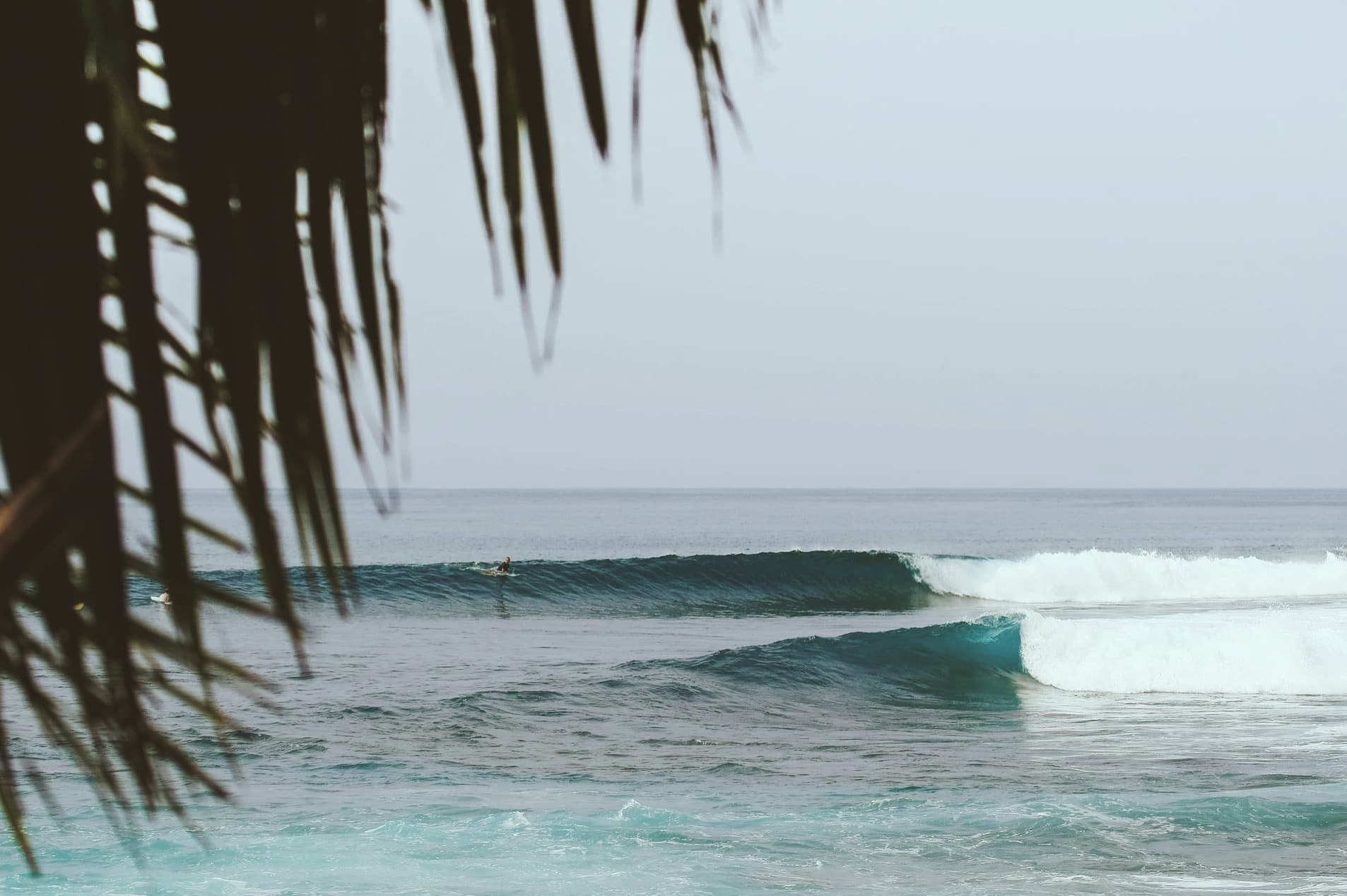wave