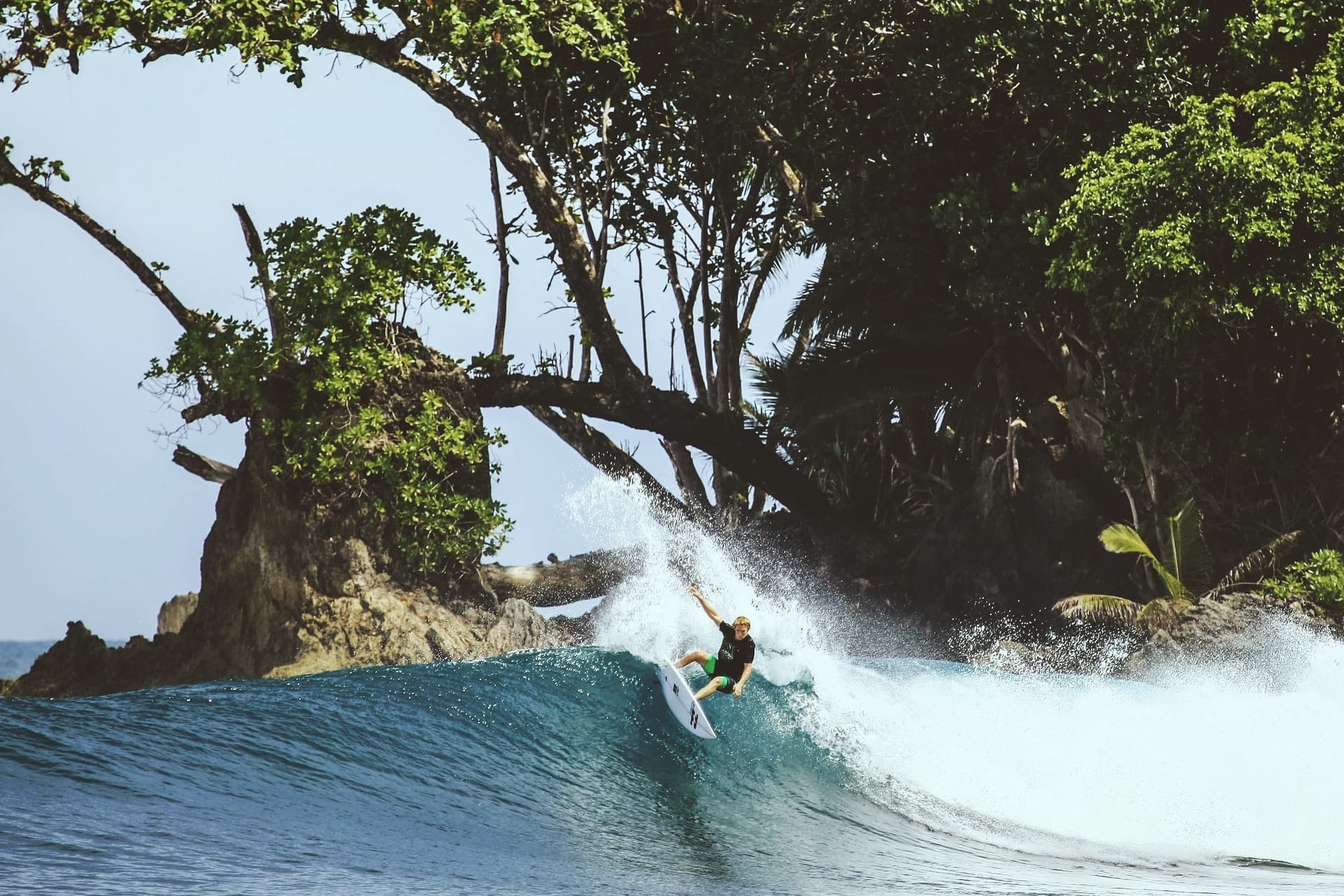 wave