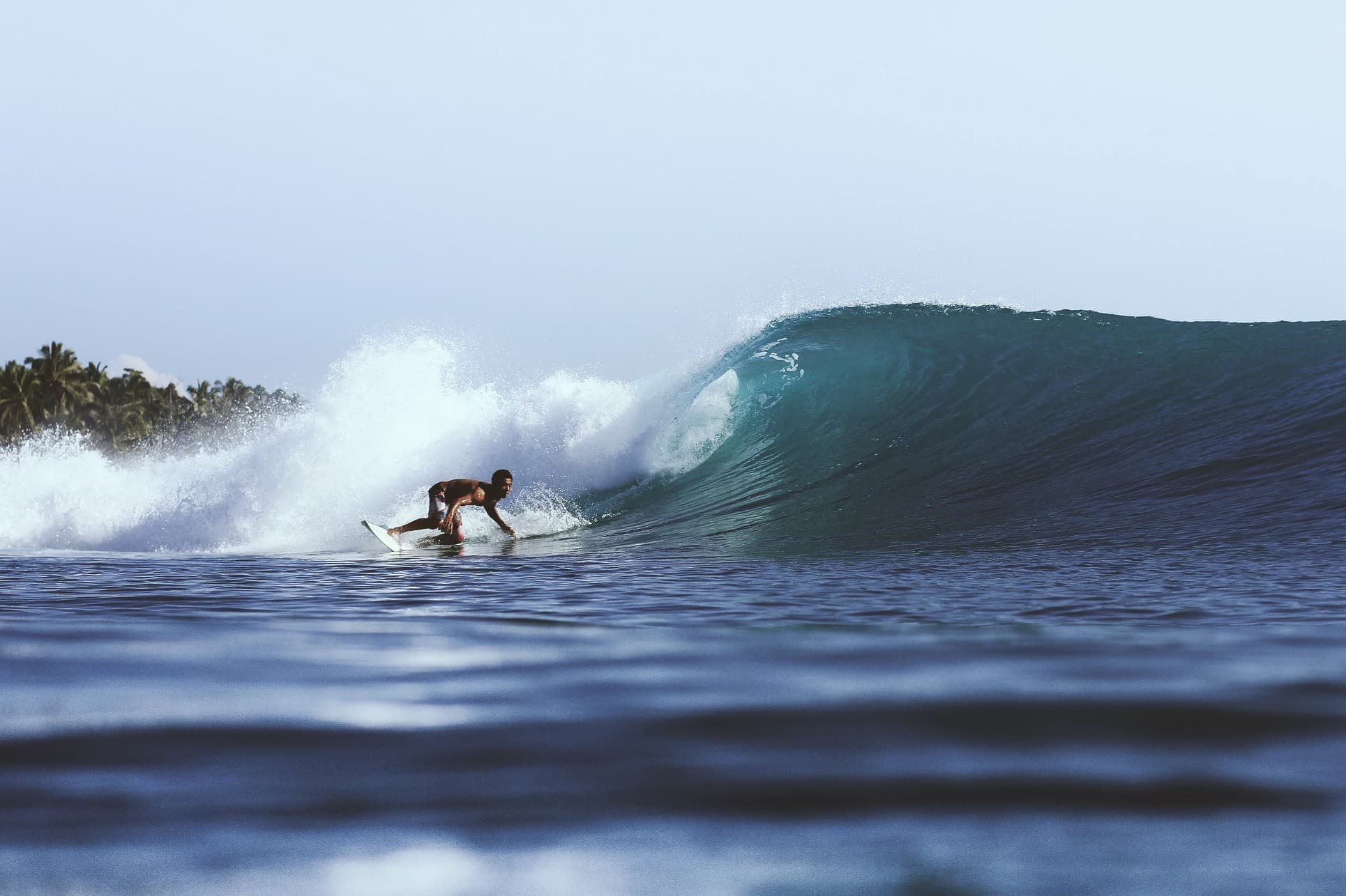 wave