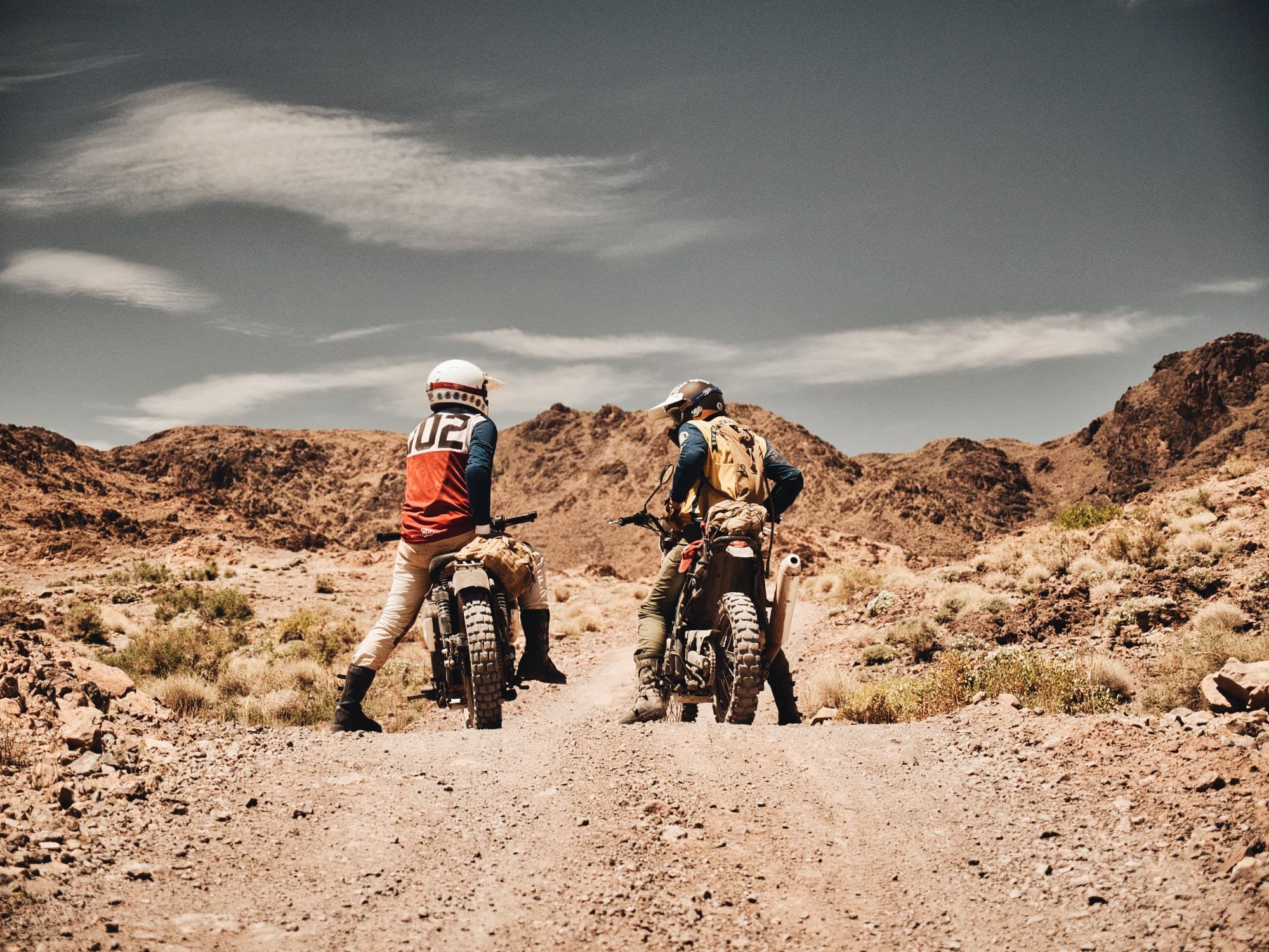 Desert Buddies