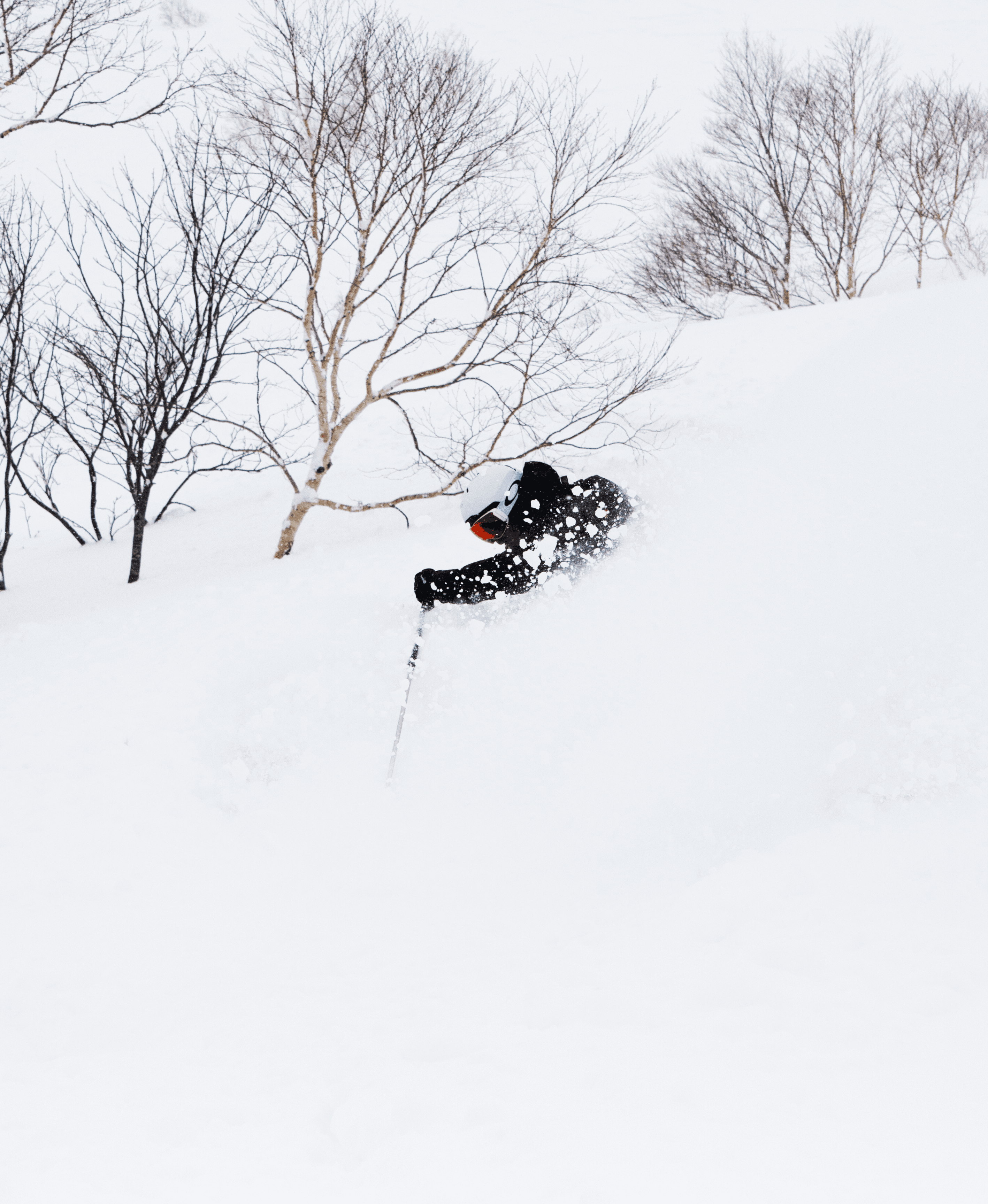 Jorge Abian skiing in Niseko Japan