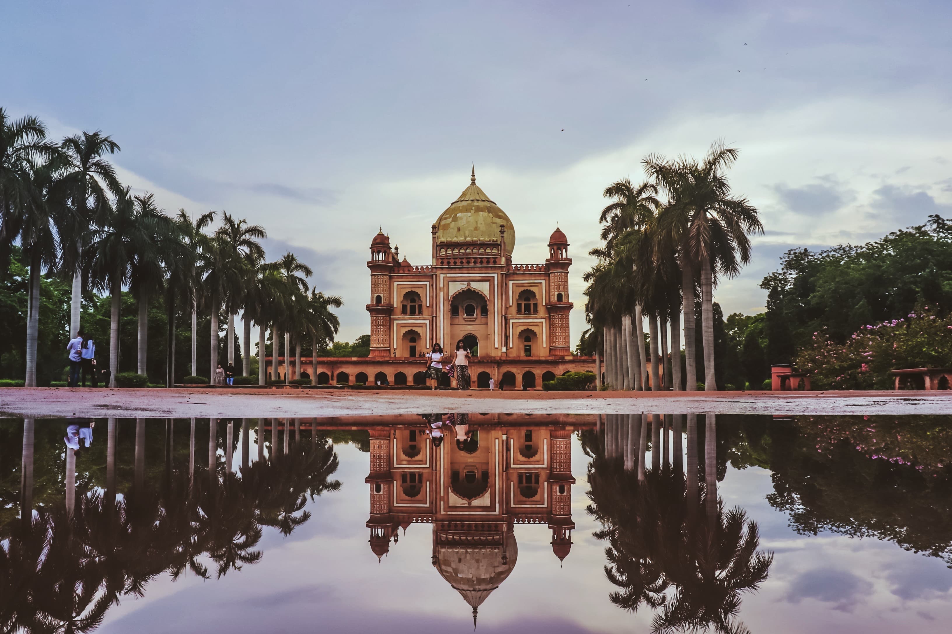 Delhi with palms