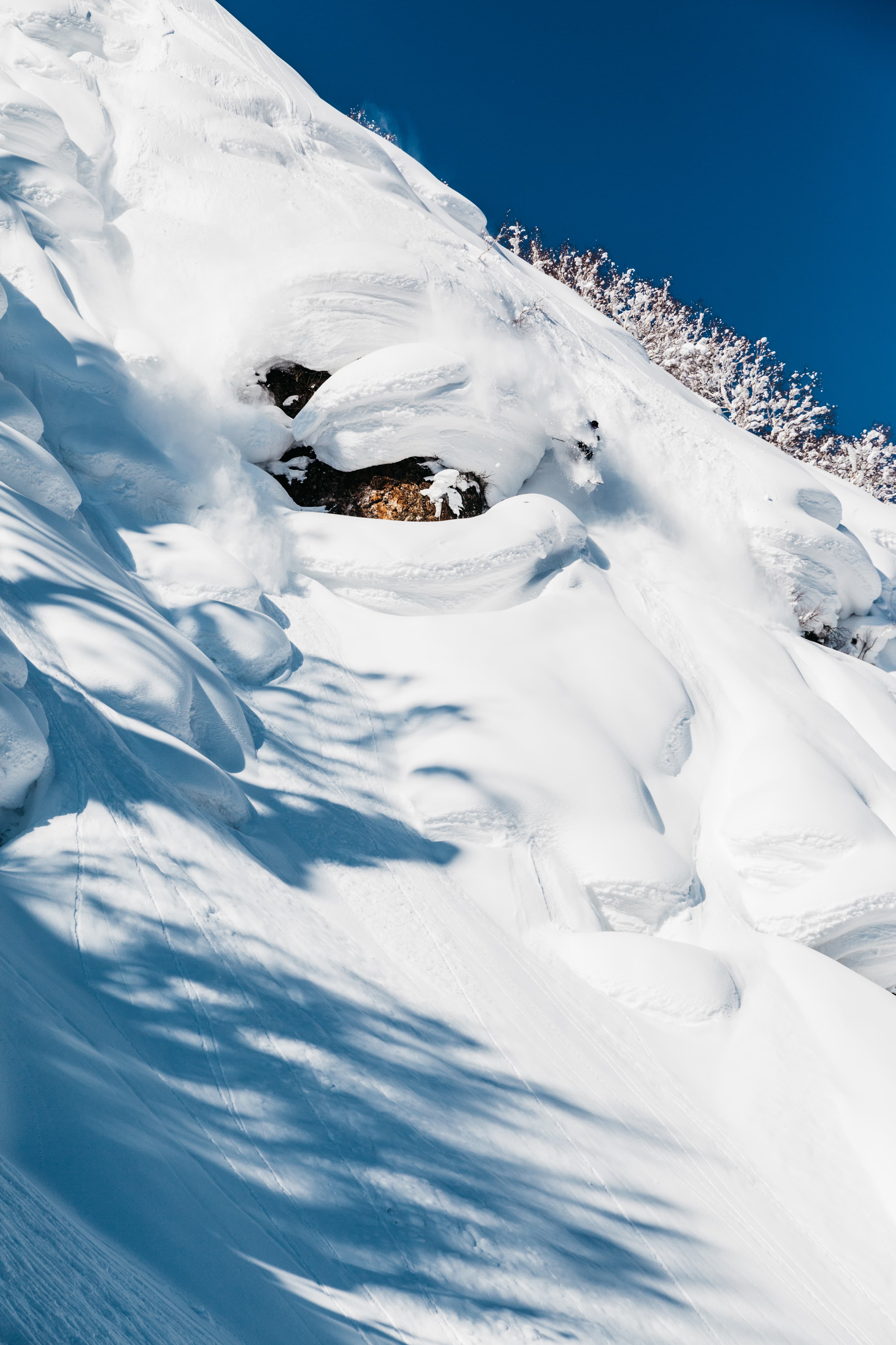 jump in to the fresh powder snow of Niseko