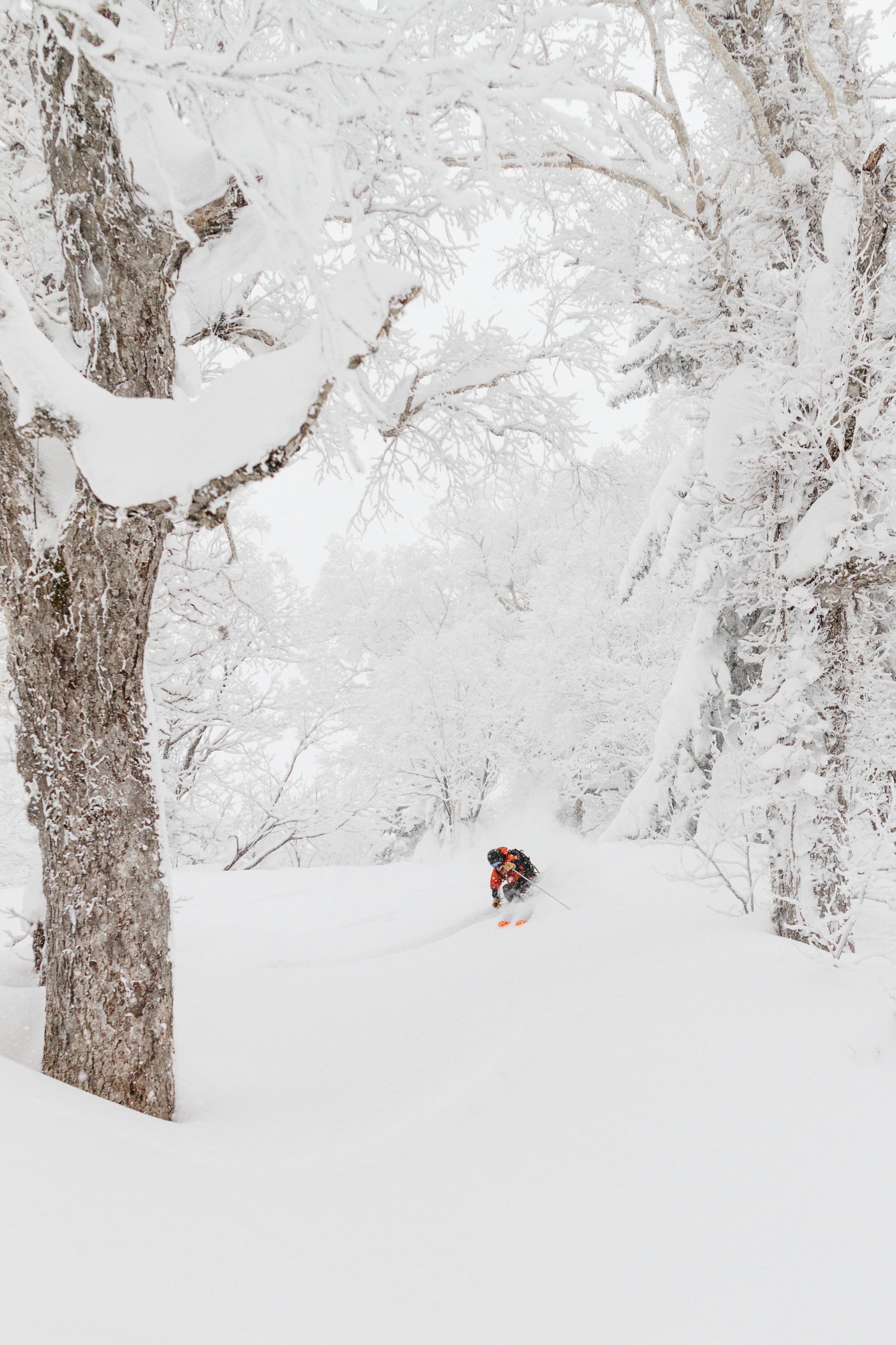 Skiing fresh powder snow in Niseko