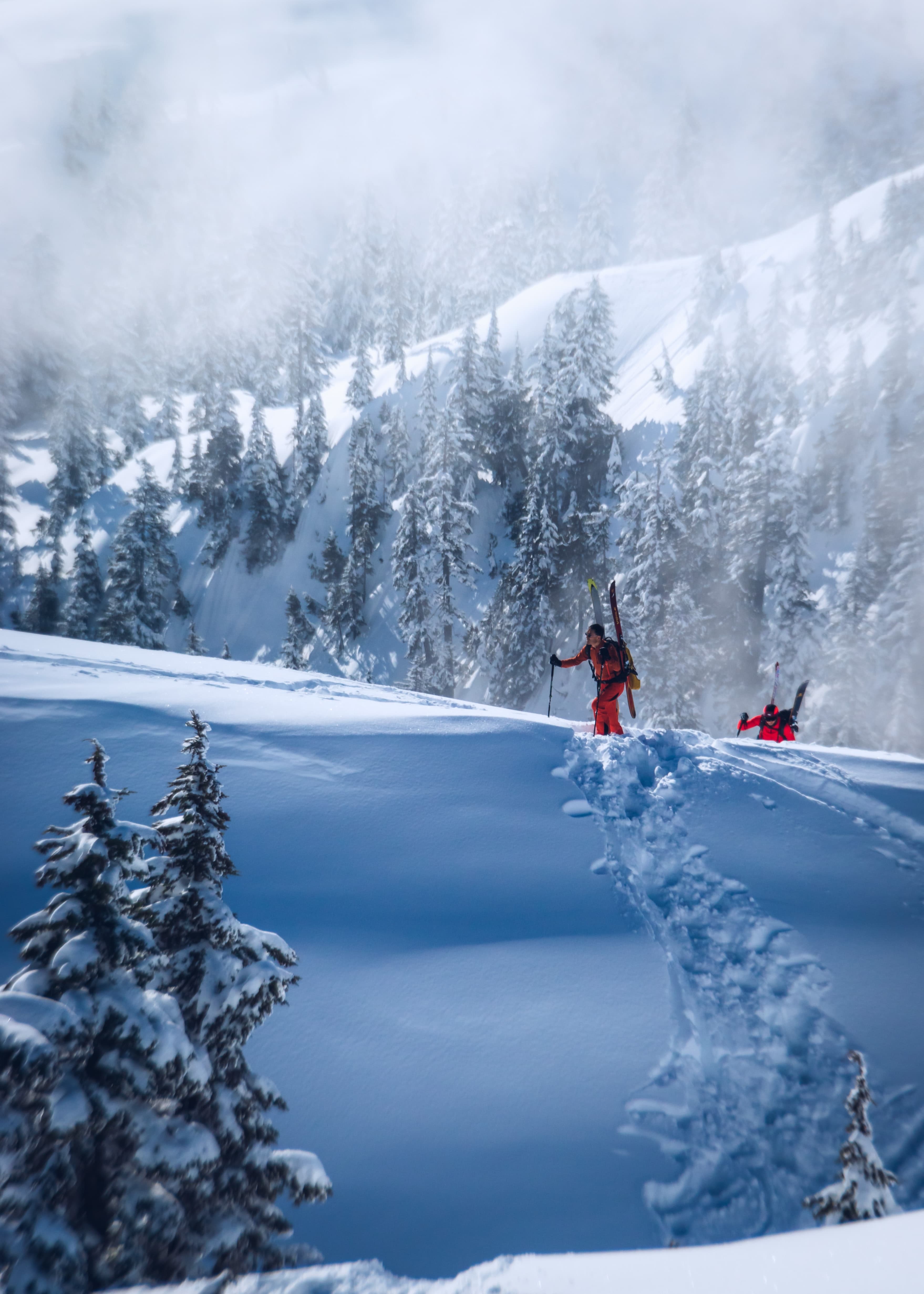 Skiers getting ready to ski down
