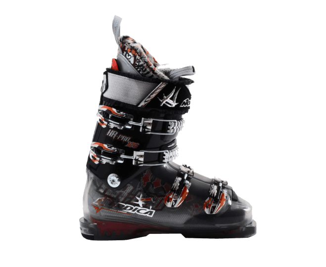 Ski shoes