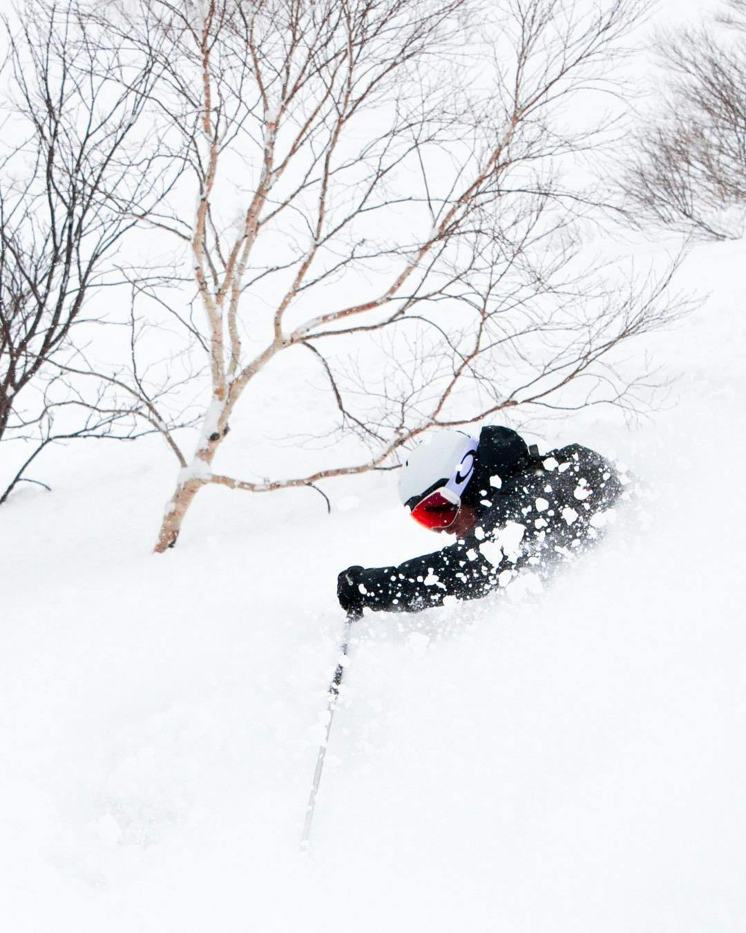 Guy skiing in Powder Niseko Japan