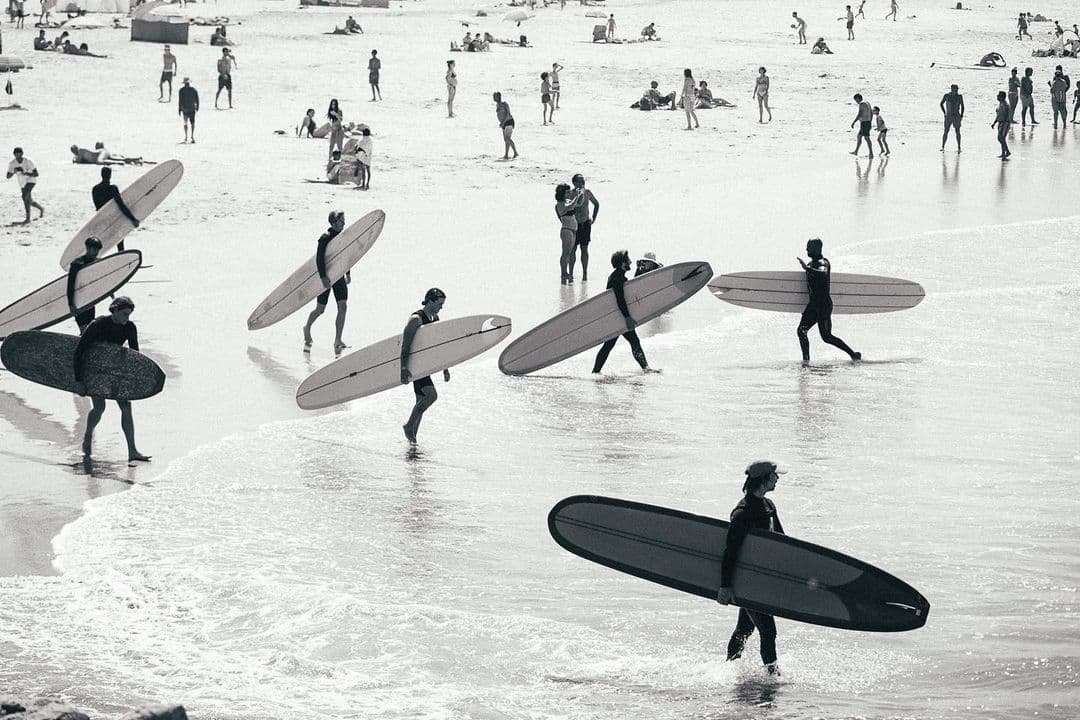 Surf bw Gliding Barnacles