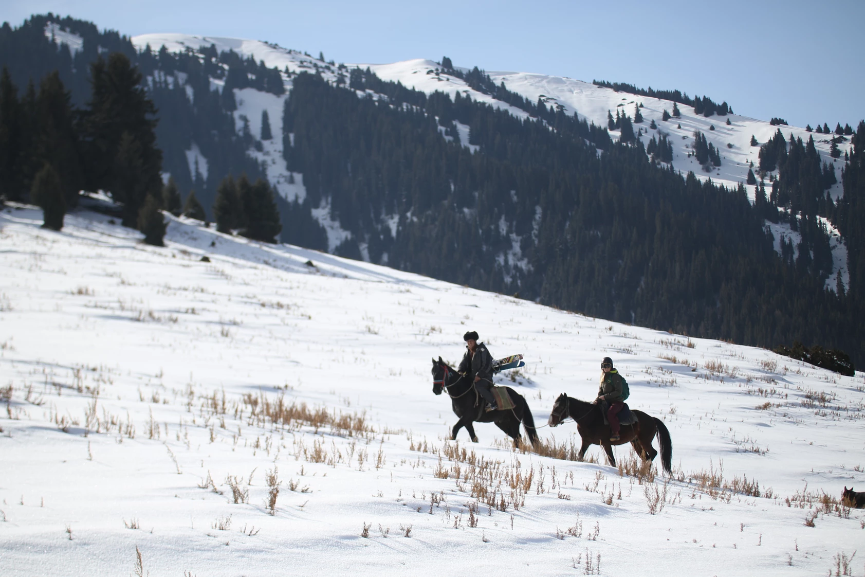 Horseback Skiing in Kyrgyztan