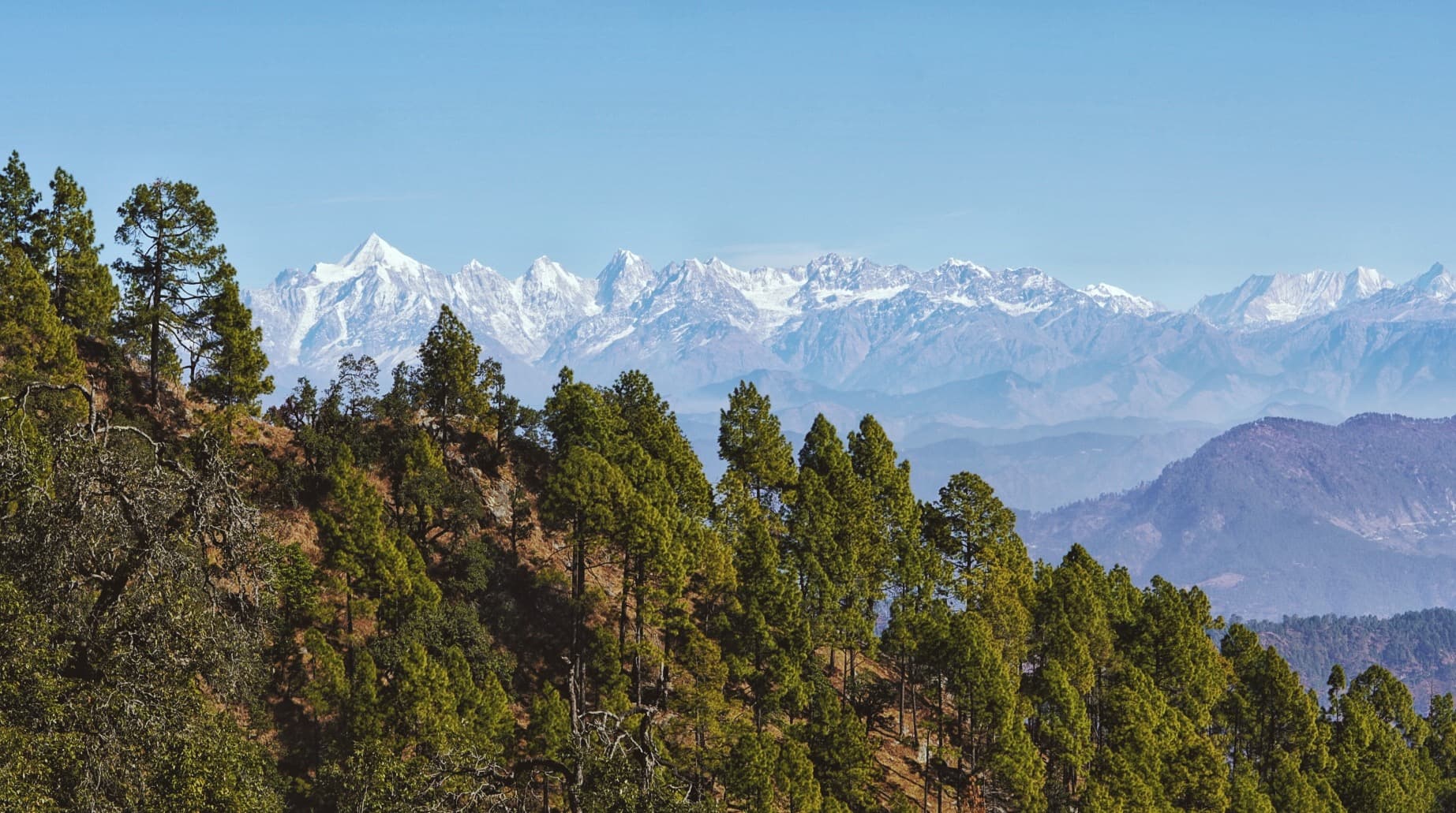 BINSAR