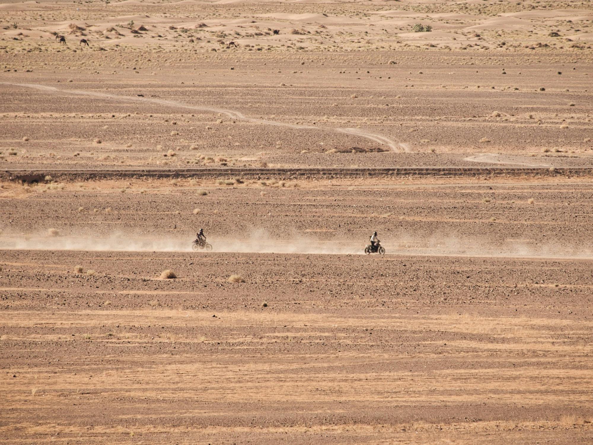 2 motorbikes roaming the desert