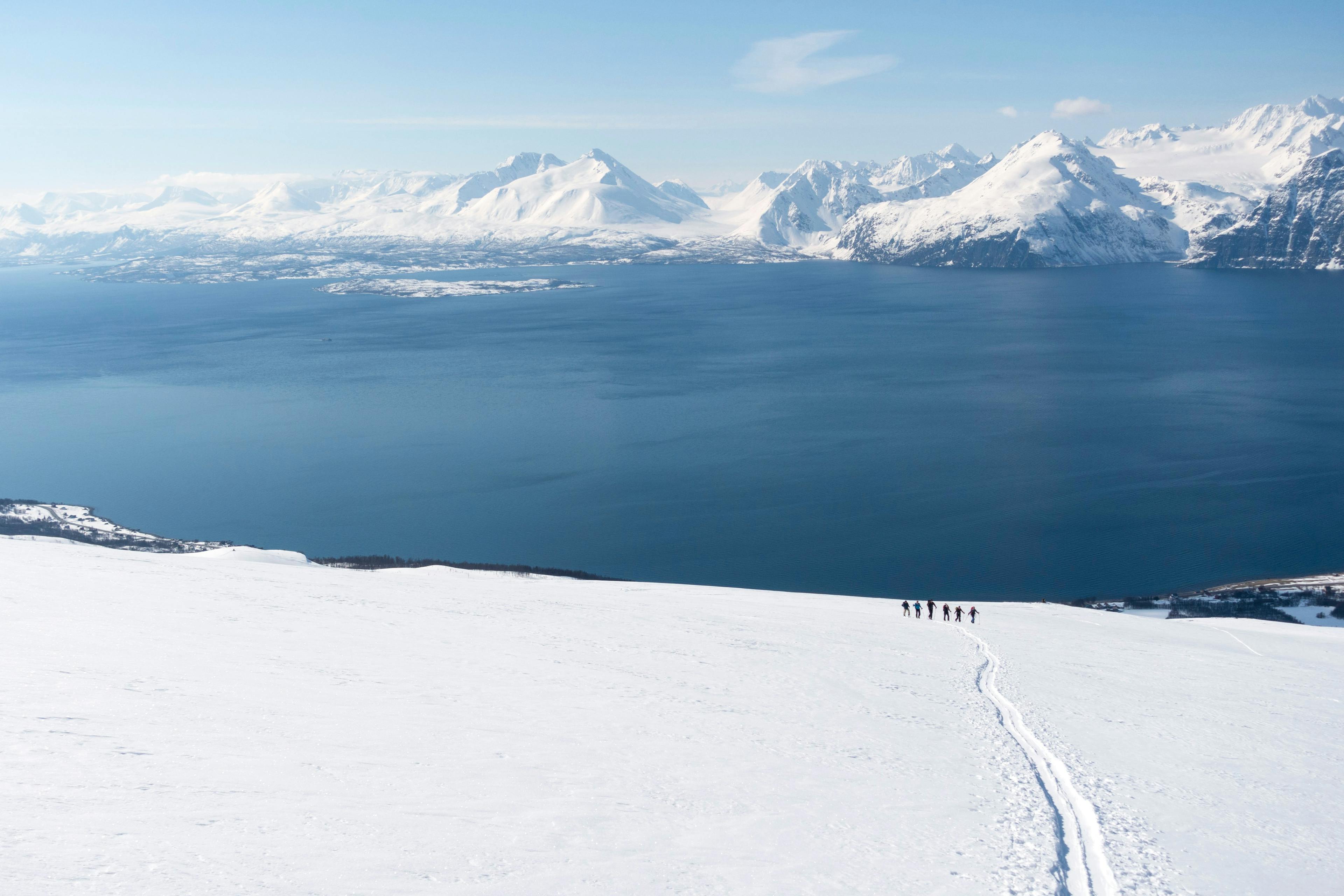 A group of 6 friends ski touring in the Lyngen Alps