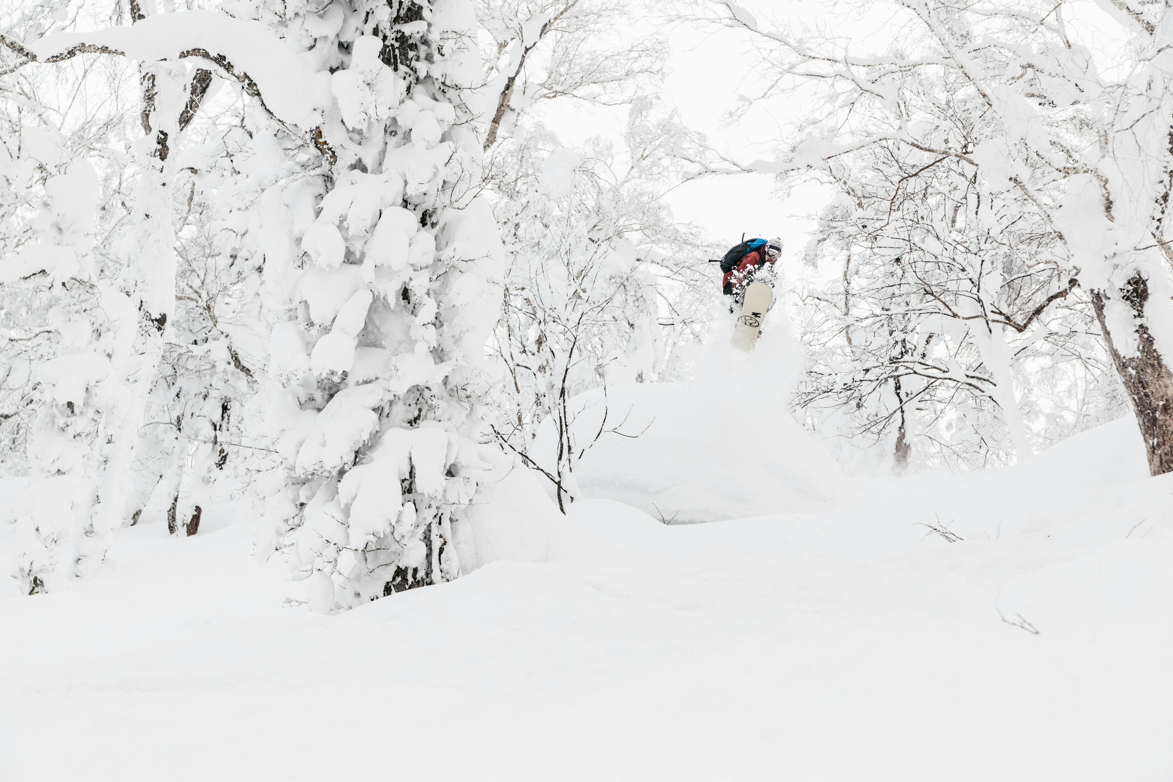 snowboarding in the fresh powder snow of Niseko