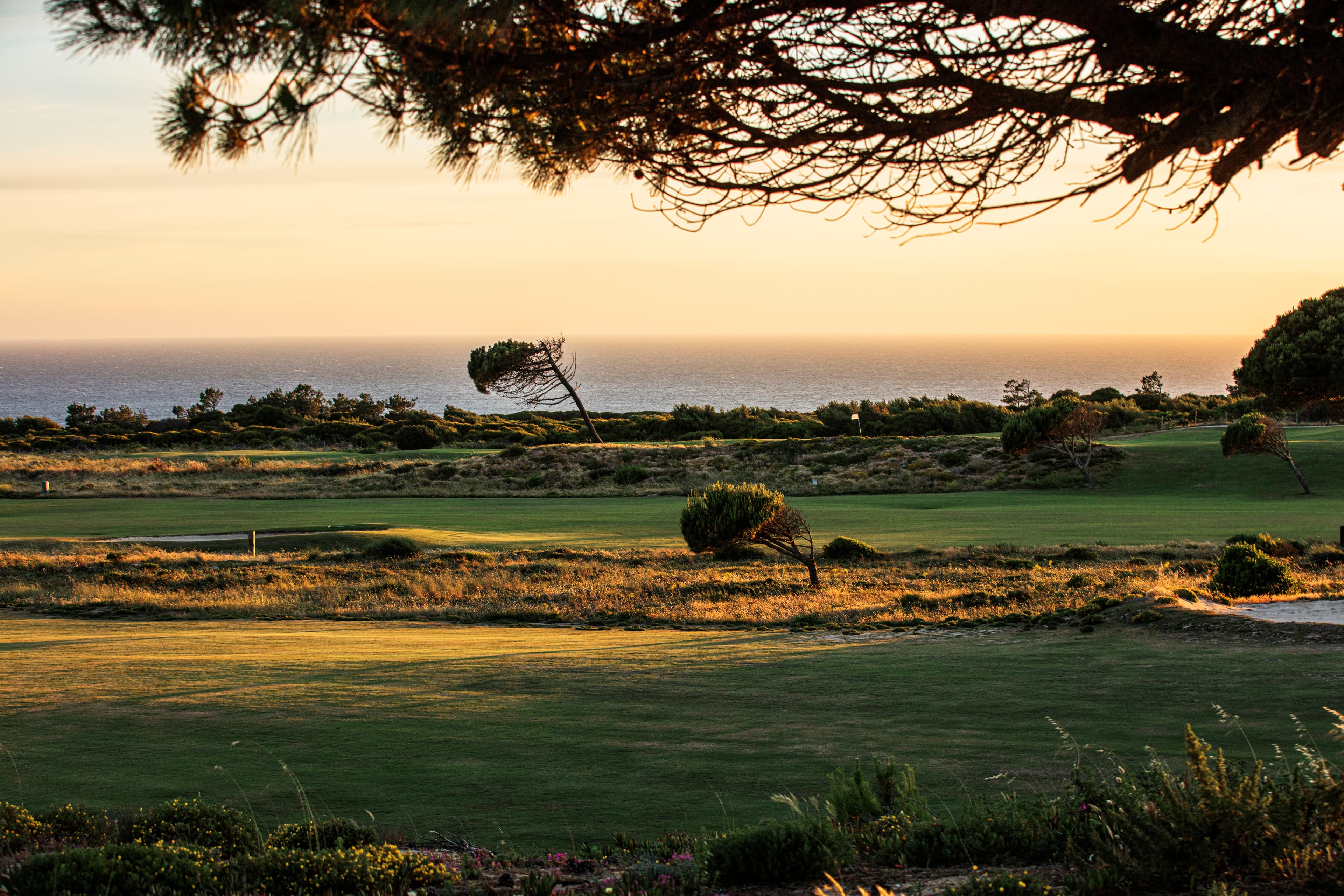 Photo of a golf course in the sunset in Portugal