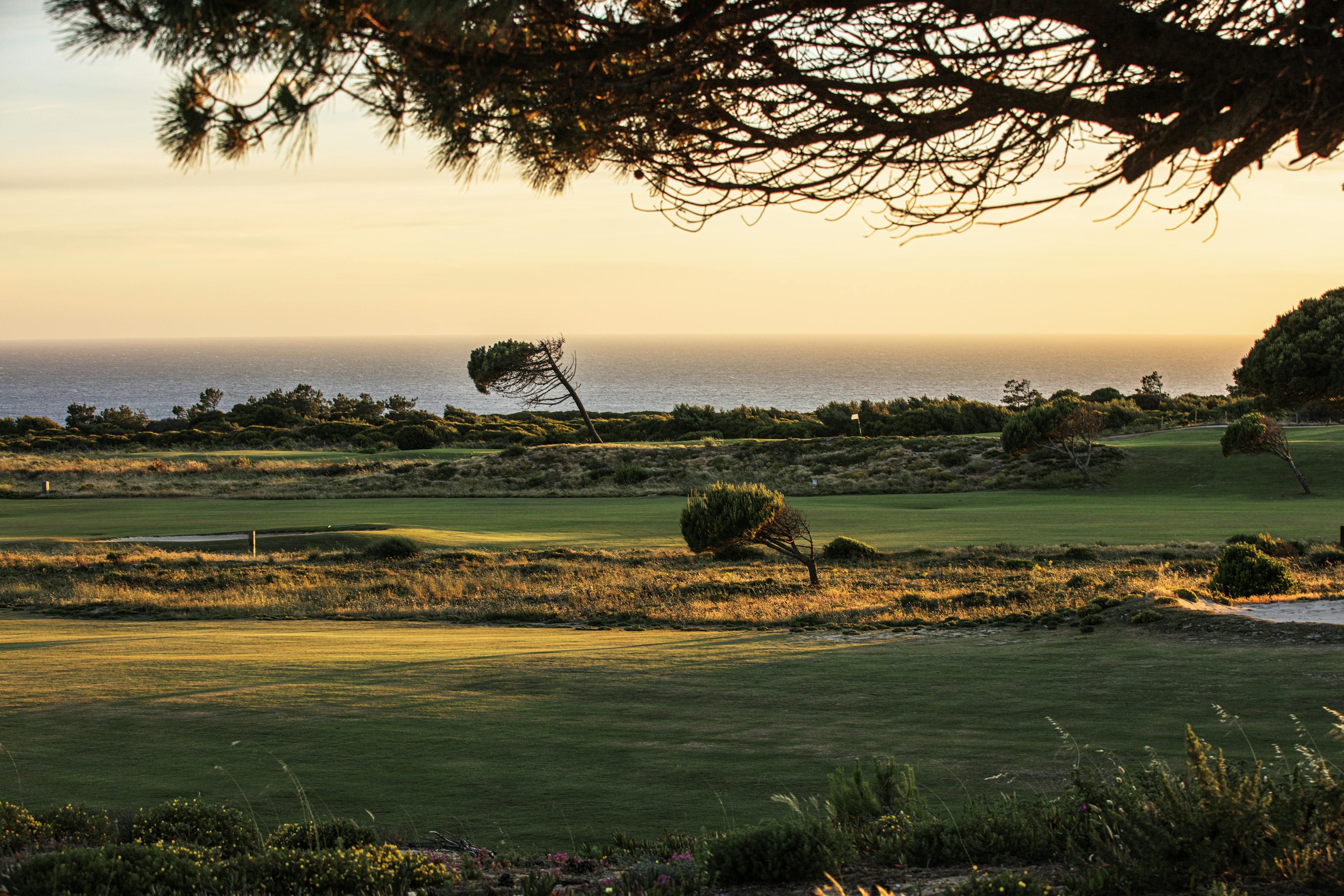 Photo of a golf course in the sunset in Portugal